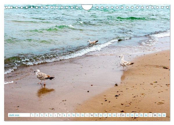 Produktbild: Warnem&uuml;nde - Sommer, Sonne und Sand im Schuh (Wandkalender 2026 DIN A4 quer), CALVENDO Monatskalender