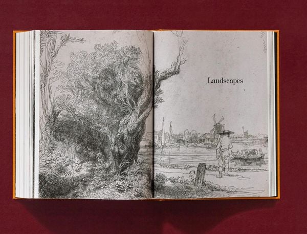Produktbild: Rembrandt. S&auml;mtliche Zeichnungen und Radierungen