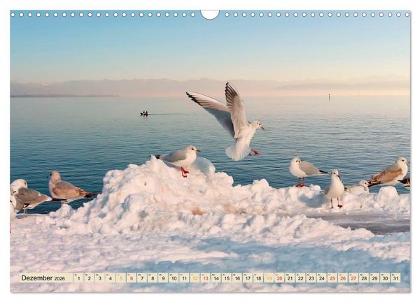 Produktbild: Bodensee - "Die D&ouml;rfer sind wie ein Garten ..." (Rainer Maria Rilke) (Wandkalender 2026 DIN A3 quer), CALVENDO Monatskalender