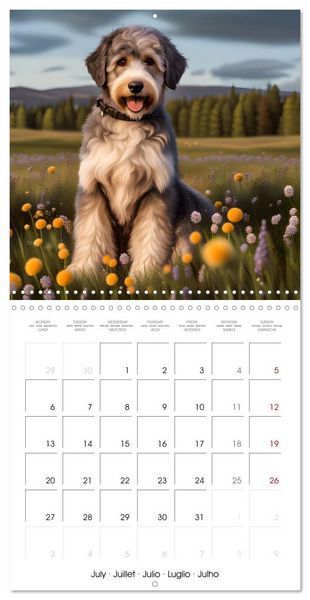 Produktbild: Aussiedoodle - Dogs to love (Wall Calendar 2026 12 &times; 12 Inch) CALVENDO 12 Month Wall Calendar