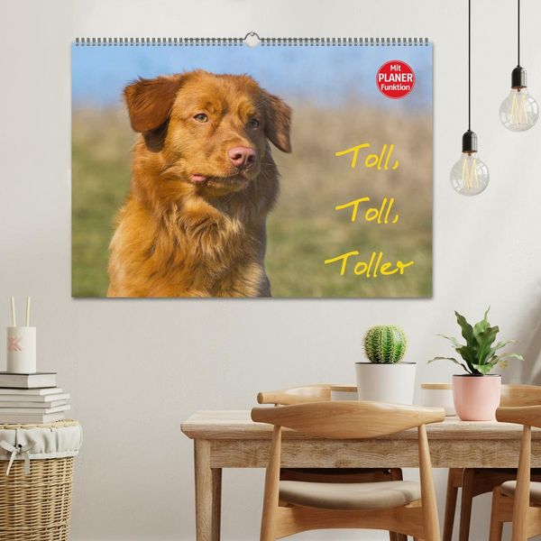 Produktbild: Toll, toll, Toller (Wandkalender 2026 DIN A2 quer), CALVENDO Monatskalender