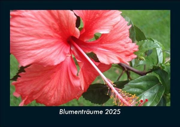 Produktbild: Blumentr&auml;ume 2025 Fotokalender DIN A5