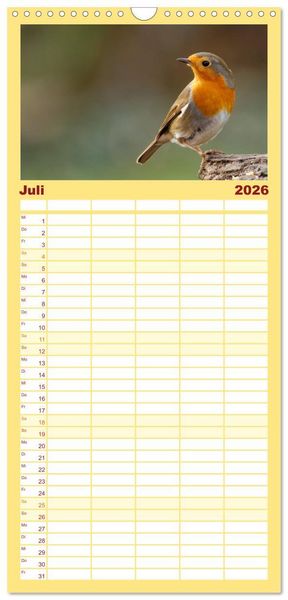 Produktbild: Familienplaner 2026 - Rotkehlchen - Fotografiert von Ostfriesenfotografie mit 5 Spalten (Wandkalender, 21 x 45 cm) CALVENDO