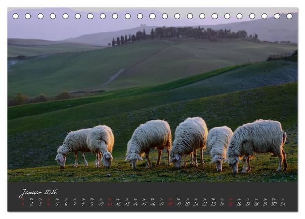 Produktbild: Licht der Toscana (Tischkalender 2026 DIN A5 quer), CALVENDO Monatskalender