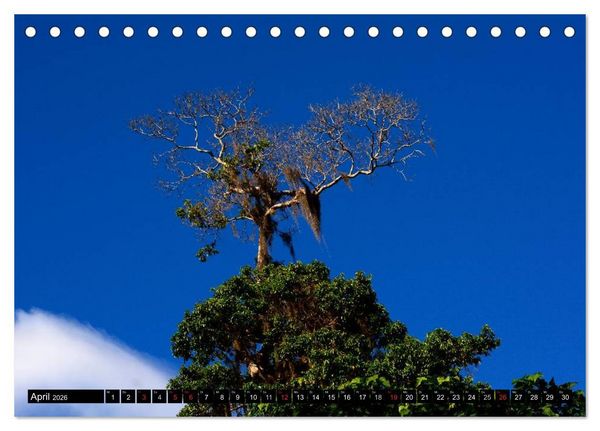 Produktbild: Faszination Venezuela (Tischkalender 2026 DIN A5 quer), CALVENDO Monatskalender