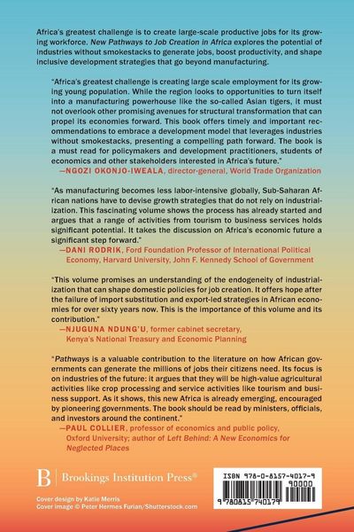 Produktbild: New Pathways to Job Creation and Development in Africa