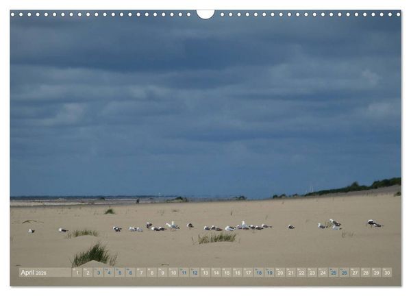 Produktbild: Texel. Neue D&uuml;nen (Wandkalender 2026 DIN A3 quer), CALVENDO Monatskalender