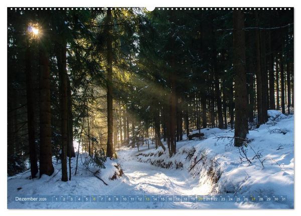 Produktbild: Spaziergang im Wald (hochwertiger Premium Wandkalender 2026 DIN A2 quer), Kunstdruck in Hochglanz