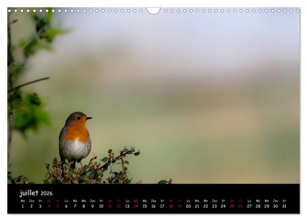 Produktbild: La nature pr&egrave;s de chez vous (Calendrier mural 2026 DIN A3 vertical), CALVENDO calendrier mensuel