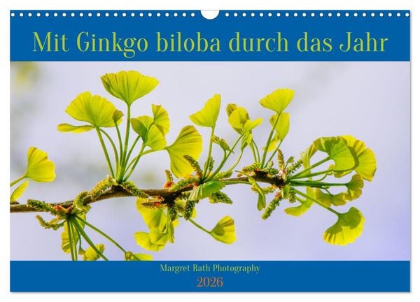 Produktbild: Mit Ginkgo biloba durch das Jahr (Wandkalender 2026 DIN A3 quer), CALVENDO Monatskalender