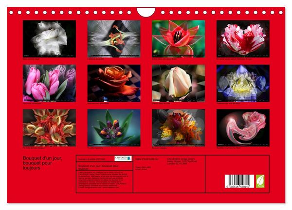 Produktbild: Bouquet d'un jour, bouquet pour toujours (Calendrier mural 2026 DIN A4 vertical), CALVENDO calendrier mensuel