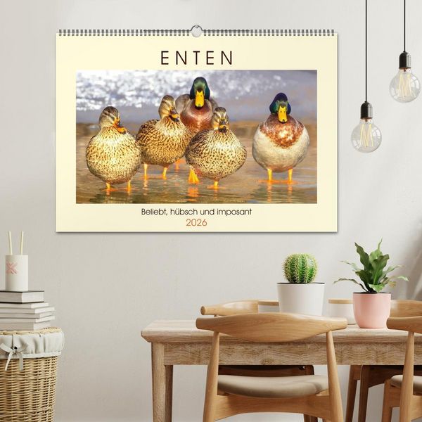 Produktbild: Enten. Beliebt, h&uuml;bsch und imposant (Wandkalender 2026 DIN A2 quer), CALVENDO Monatskalender