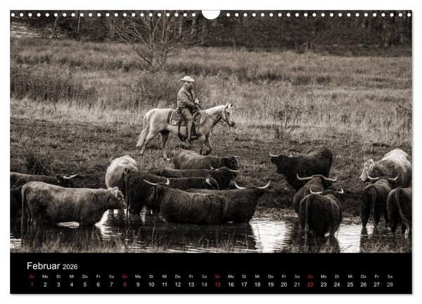 Produktbild: Westernreiten (Wandkalender 2026 DIN A3 quer), CALVENDO Monatskalender