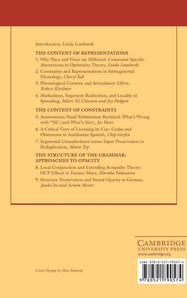 Produktbild: Segmental Phonology in Optimality Theory
