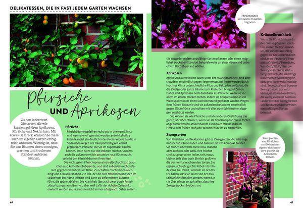 Produktbild: Ulmers Gartenkalender 2027