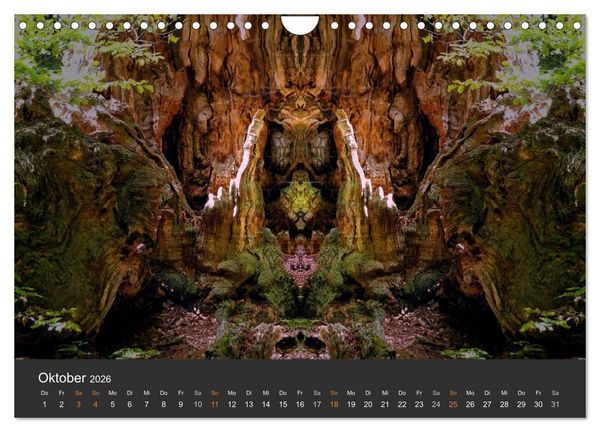 Produktbild: Spiegelwelten - Im Reich der Naturwesen (Wandkalender 2026 DIN A4 quer), CALVENDO Monatskalender