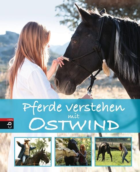 Produktbild: Pferde verstehen mit Ostwind