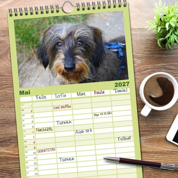 Produktbild: Familienplaner 2027 - Der Zwergrauhaardackel - Eigensinnig und Liebenswert mit 5 Spalten (Wandkalender, 21 x 45 cm) CALVENDO