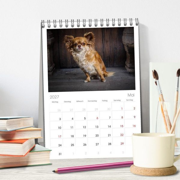 Produktbild: Tischplaner 2027 - Chihuahuas - Cool and Cute (A5 Tischkalender zum Aufstellen) CALVENDO
