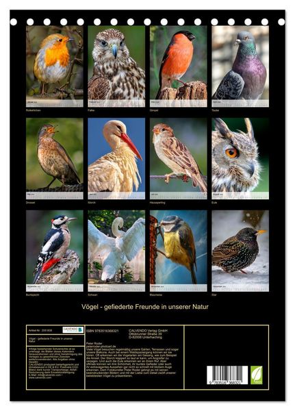 Produktbild: V&ouml;gel - gefiederte Freunde in unserer Natur (Tischkalender 2026 DIN A5 hoch), CALVENDO Monatskalender
