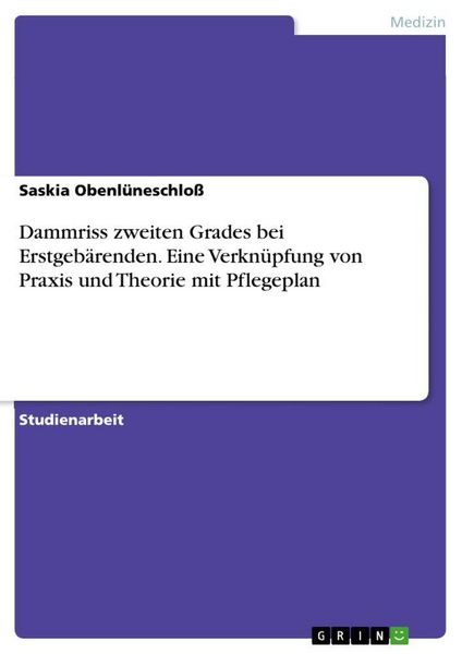 Produktbild: Dammriss zweiten Grades bei Erstgeb&auml;renden. Eine Verkn&uuml;pfung von Praxis und Theorie mit Pflegeplan