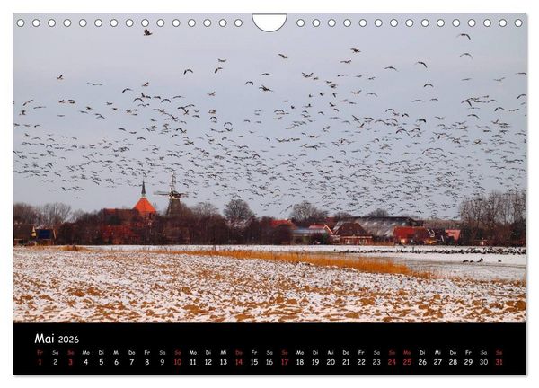 Produktbild: Schrei der Wildg&auml;nse (Wandkalender 2026 DIN A4 quer), CALVENDO Monatskalender