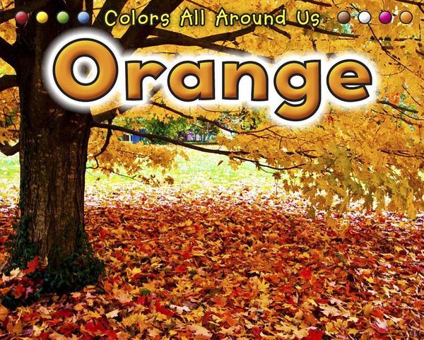 Produktbild: Orange