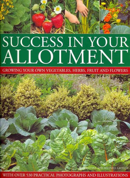 Produktbild: Lavelle, C: Success in Your Allotment