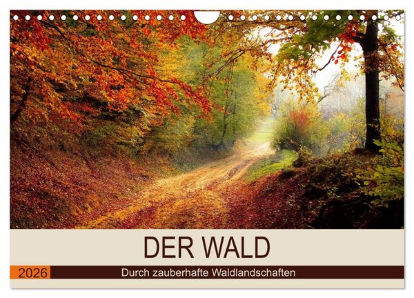 Produktbild: Der Wald. Durch zauberhafte Waldlandschaften (Wandkalender 2026 DIN A4 quer), CALVENDO Monatskalender