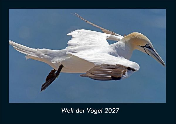 Produktbild: Welt der V&ouml;gel 2027 Fotokalender DIN A4