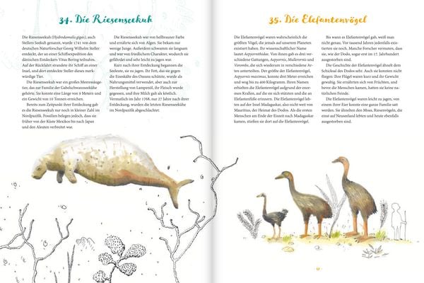 Produktbild: Damals der Dodo