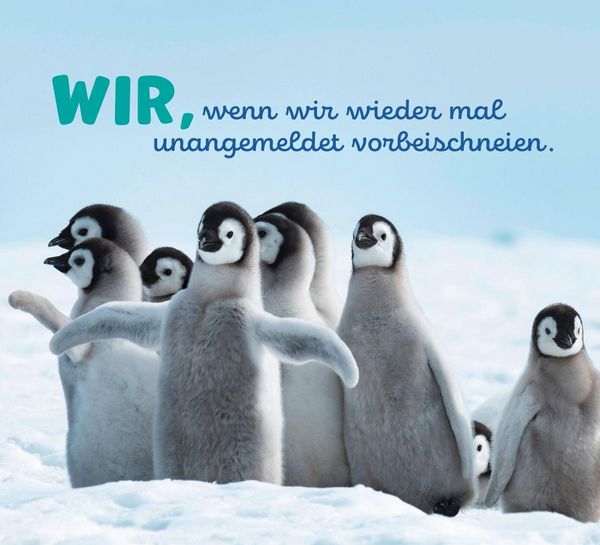 Produktbild: Tierisch happy jeden Tag