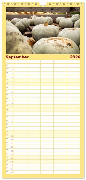 Produktbild: Familienplaner 2026 - K&Uuml;RBIS KALENDER - Die sch&ouml;nsten K&uuml;rbisse des Jahres mit 5 Spalten (Wandkalender, 21 x 45 cm) CALVENDO