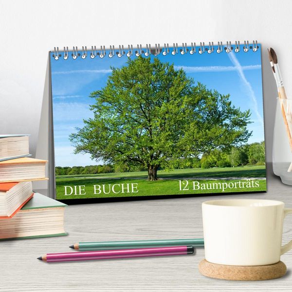 Produktbild: Die Buche: 12 Baumportr&auml;ts (Tischkalender 2026 DIN A5 quer), CALVENDO Monatskalender