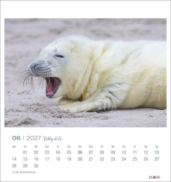 Produktbild: Robby & Co. Postkartenkalender 2027