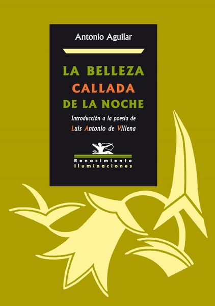 Produktbild: La belleza callada de la noche