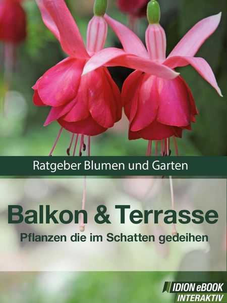 Produktbild: Balkon & Terasse - Pflanzen die im Schatten gedeihen