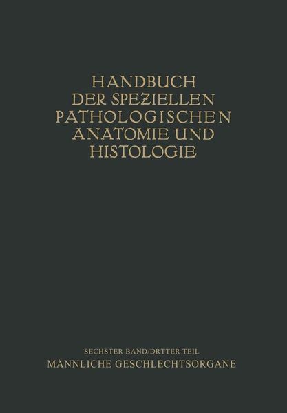 Produktbild: Harnorgane M&auml;nnliche Geschlechtsorgane