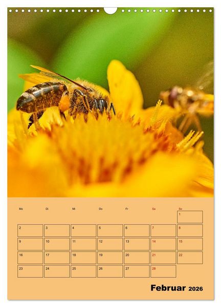 Produktbild: Die Biene und die Farbe gelb (Wandkalender 2026 DIN A3 hoch), CALVENDO Monatskalender