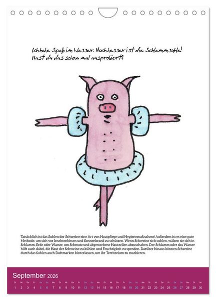 Produktbild: Schweinekalender - Alles was du &uuml;ber Schweine wissen wolltest! (Wandkalender 2026 DIN A4 hoch), CALVENDO Monatskalender