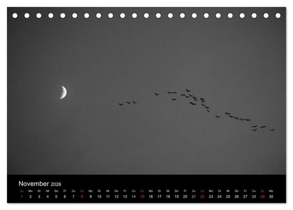 Produktbild: BLACK 'N WHITE (Tischkalender 2026 DIN A5 quer), CALVENDO Monatskalender