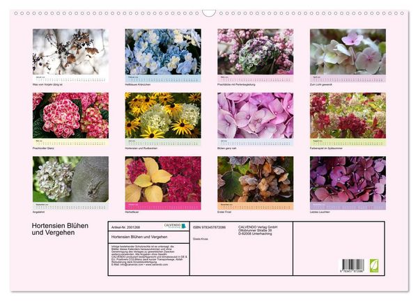 Produktbild: Hortensien Bl&uuml;hen und Vergehen (Wandkalender 2026 DIN A2 quer), CALVENDO Monatskalender