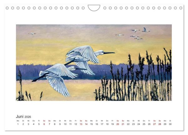 Produktbild: Auf leichten Schwingen - Zugv&ouml;gel (Wandkalender 2026 DIN A4 quer), CALVENDO Monatskalender