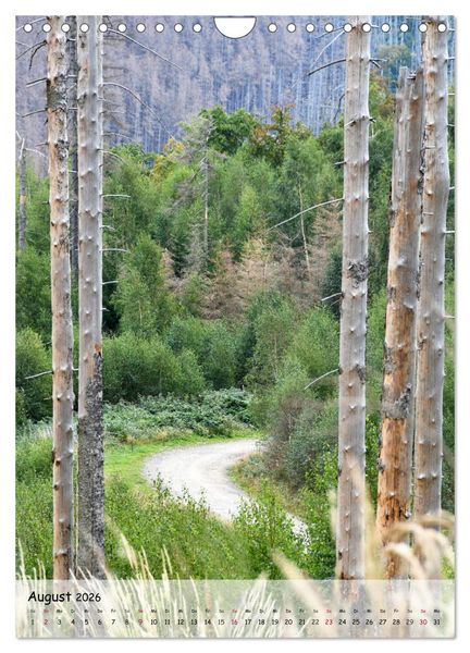 Produktbild: Wege als Traumpfade (Wandkalender 2026 DIN A4 hoch), CALVENDO Monatskalender