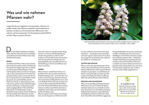 Produktbild: Sprachkurs gr&uuml;ner Daumen