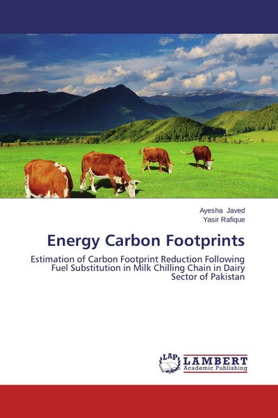 Produktbild: Energy Carbon Footprints