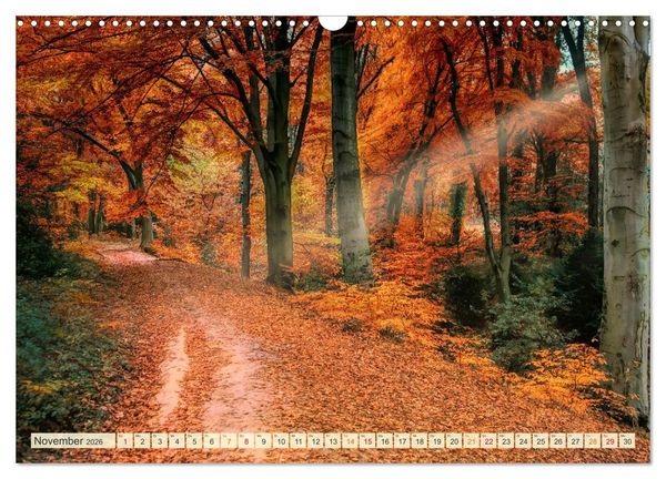 Produktbild: Traumwege entdecken (Wandkalender 2026 DIN A3 quer), CALVENDO Monatskalender