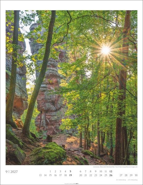 Produktbild: Heimische W&auml;lder Kalender 2027