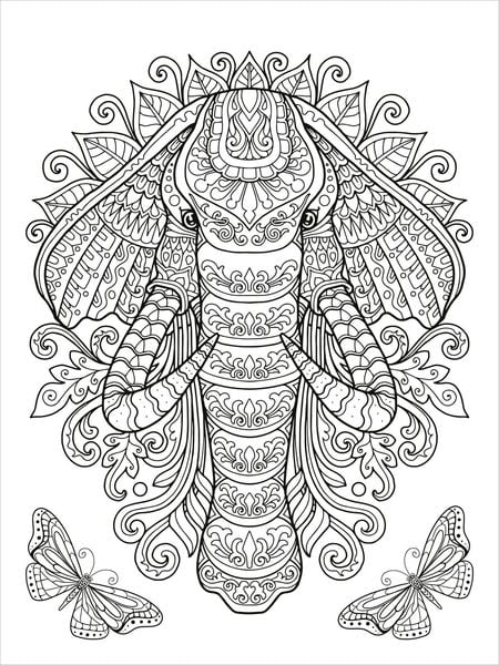 Produktbild: Mein Mandala-Tier-Malbuch &ndash; Wilde Tiere