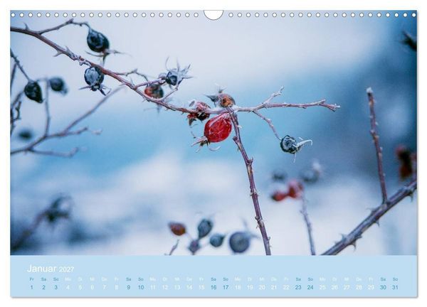 Produktbild: Zeitenwandel - Ein Jahr in der Natur (Wandkalender 2027 DIN A3 quer), CALVENDO Monatskalender